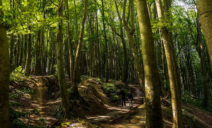 Der Ludgerusweg von Coesfeld nach Billerbeck