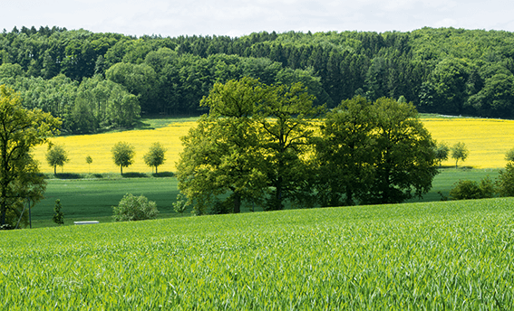 Auf der Holperdorper Teutoschleife