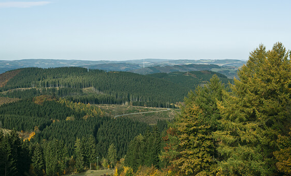 Rund um Lennestadt-Altenhundem