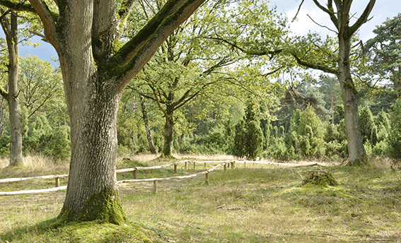 Unterwegs auf dem Hollandgängerweg