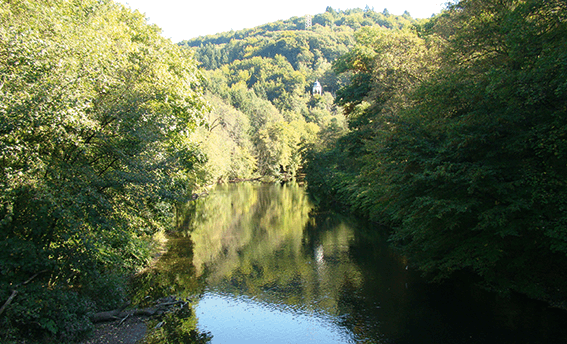 Unterwegs auf dem Bergischen Weg