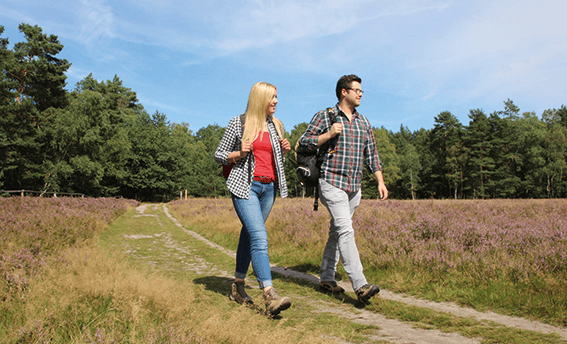 Unterwegs auf dem Emsquellen-Wanderweg