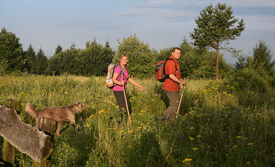 Die ersten Kilometer des Hermannswegs