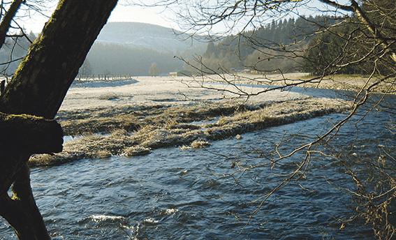 Auf dem Wittgensteiner Schieferpfad