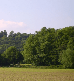 Auf dem Grat des Teutoburger Walds