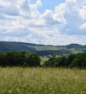 Leichlinger Sandberge