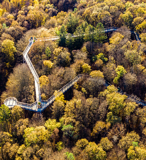 Den Waldmythen auf der Spur