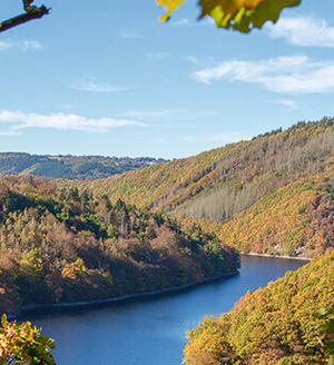 Auf dem Wildnis-Trail im Nationalpark Eifel