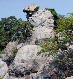 Auf der Teutoschleife Dörenther Klippen