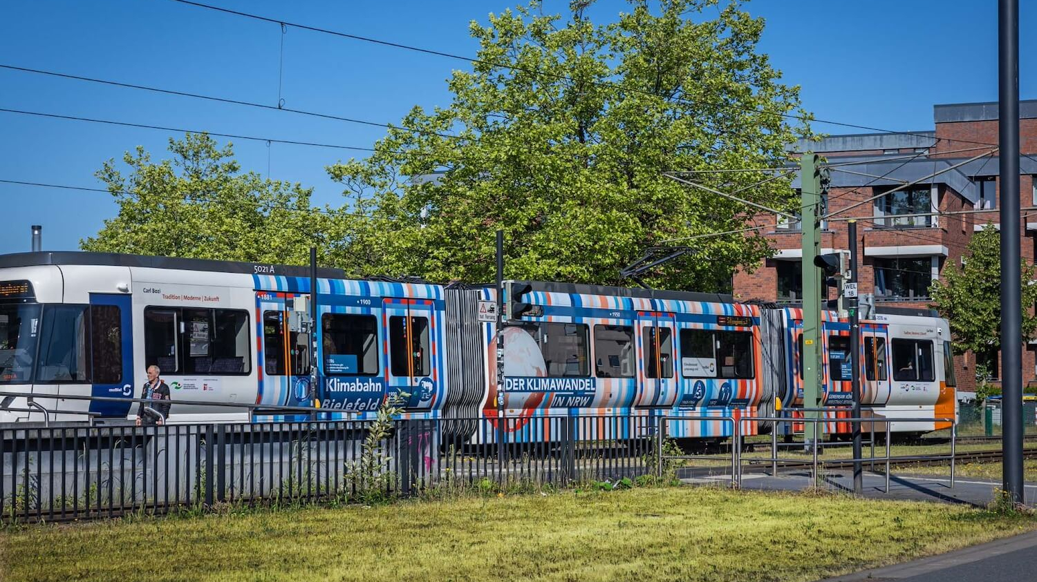 Eine rot-blaue gestreifte Straßenbahn fährt durchs Grüne.