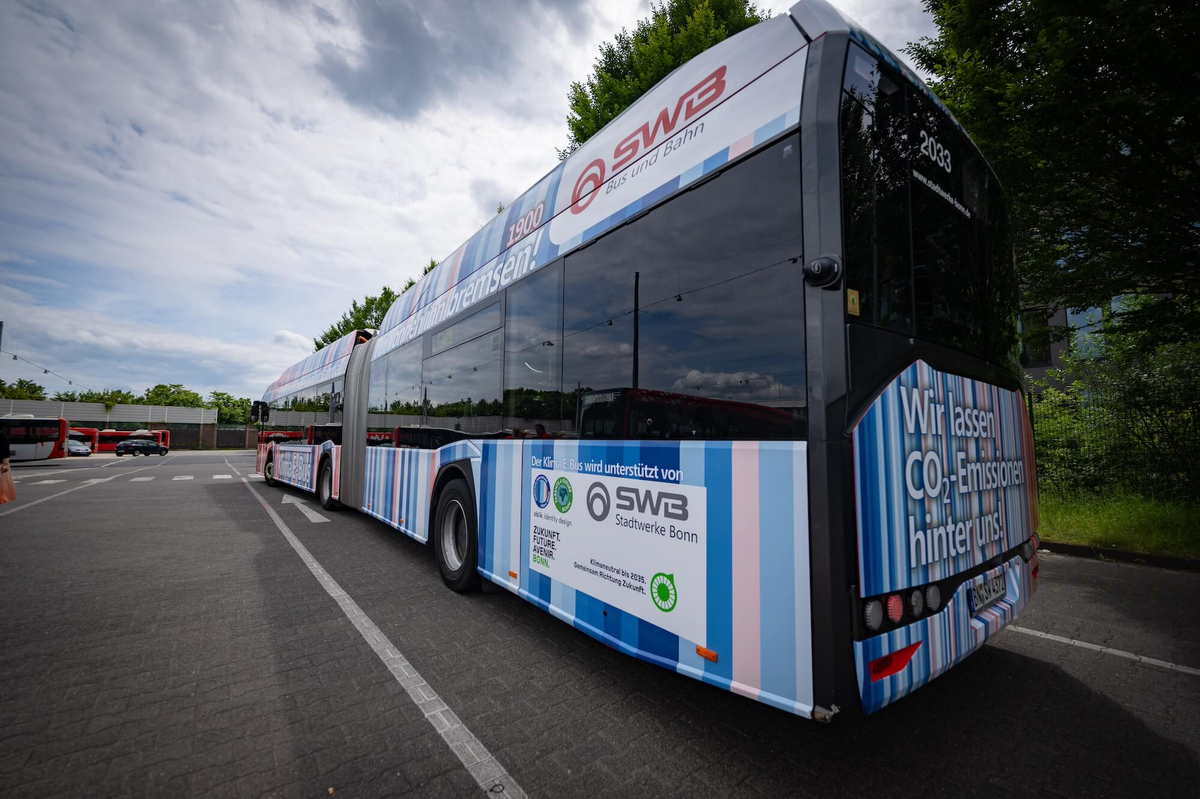 Ein blau gestreifter Bus von hinten auf der Straße.