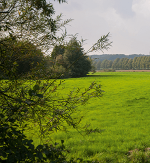 Auf dem Neanderlandsteig