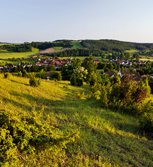 Auf dem Weg der Vielfalt